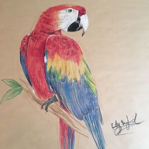 Meet your Posher, Emily